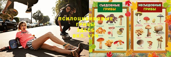СК Богородицк
